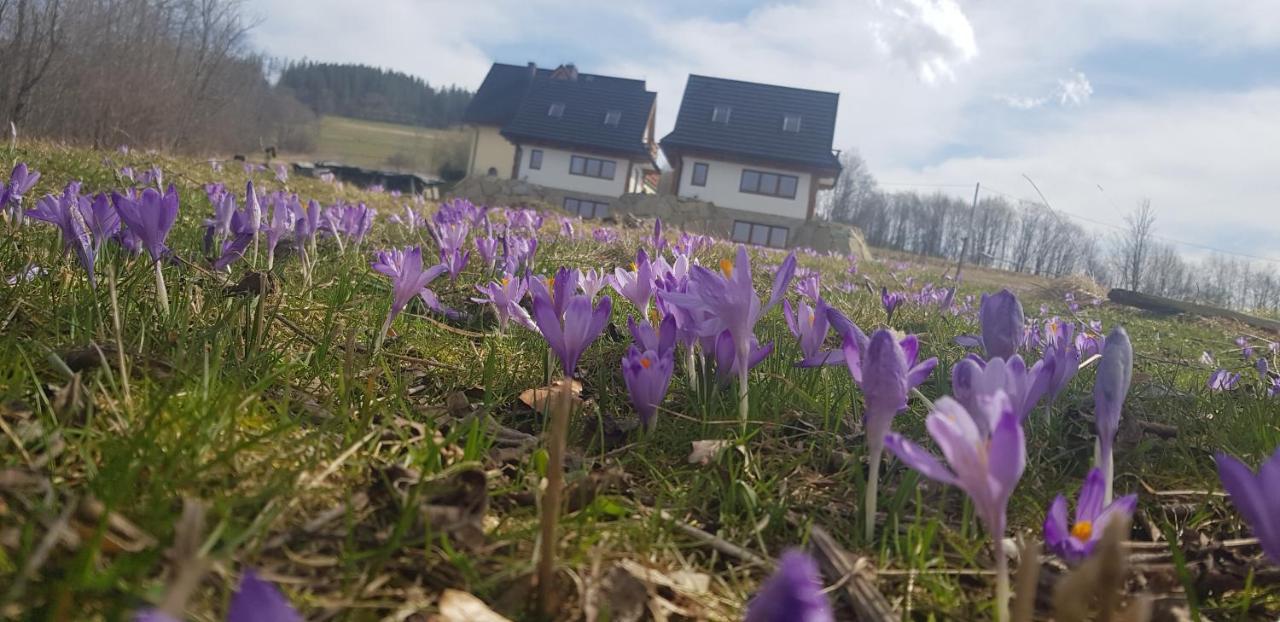 Nowinowe Domki Dzianisz Buitenkant foto